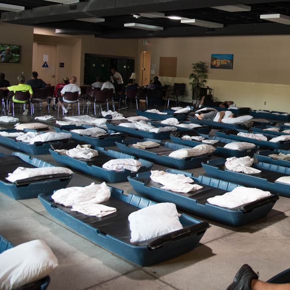 A large indoor shelter space with rows of low plastic beds neatly arranged with pillows and blankets. Several people sit on chairs at the far end of the room, watching television or talking.